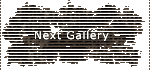 next gallery